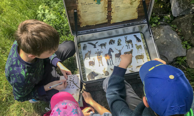 Drei Kinder betrachten in einer Schatzkiste ein Bilderrätsel mit Tierzeichnungen.