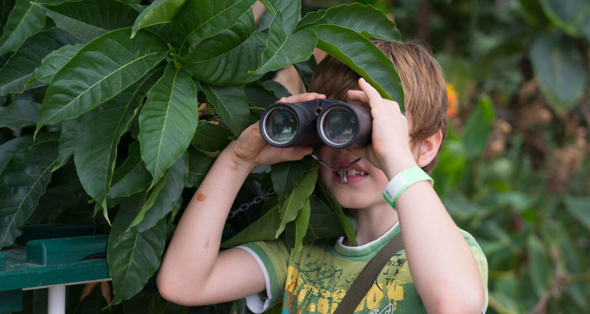 Unser indoor Ausflug ins Tropenhaus Wolhusen: Kinder auf Expedition im Dschungel